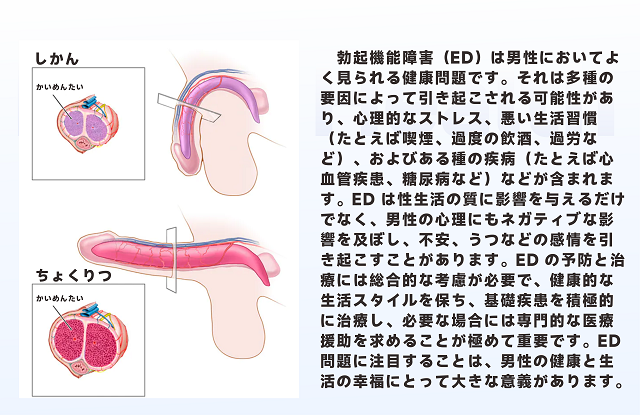 女を満たす、男の本能を解放！